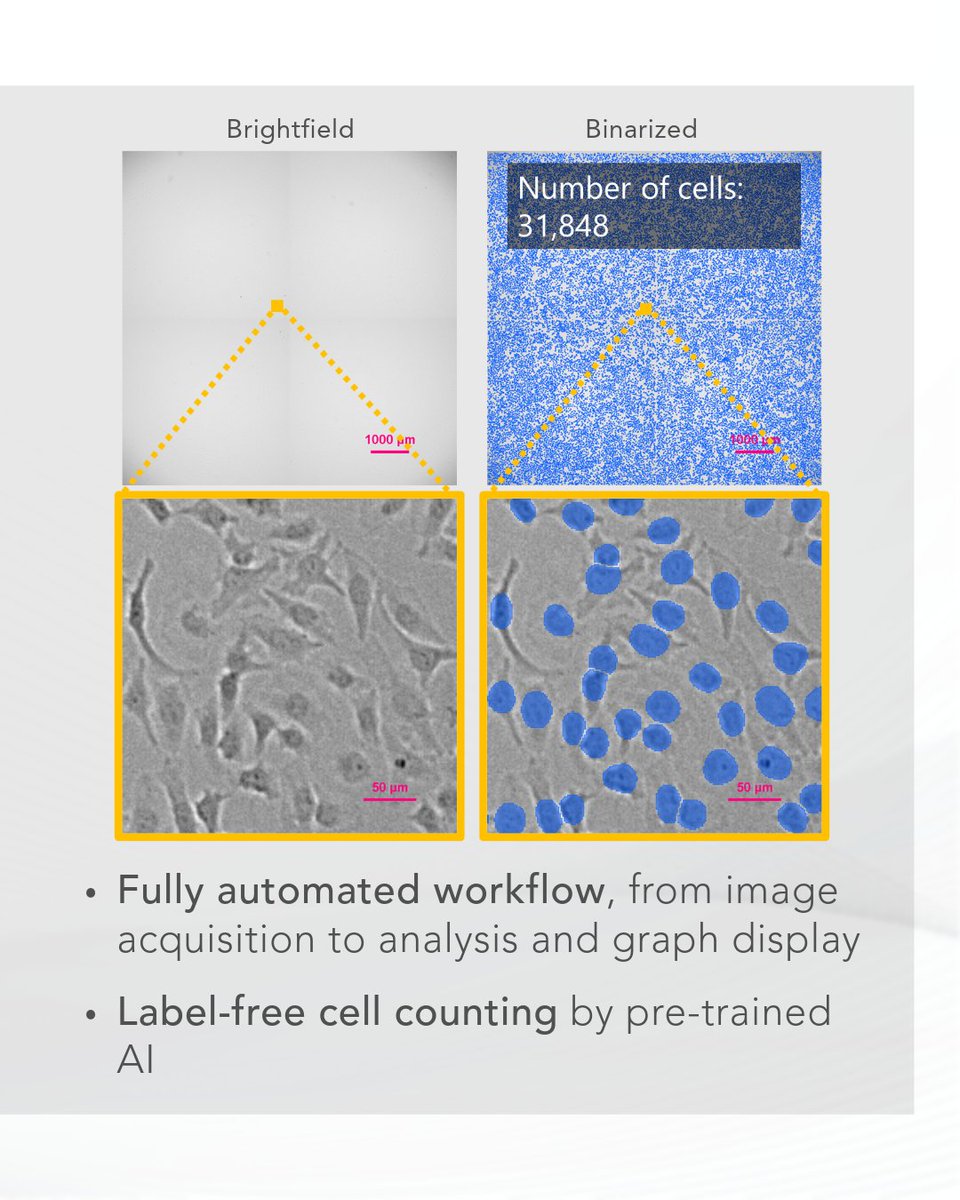 Nikon Microscope Solutions tweet media