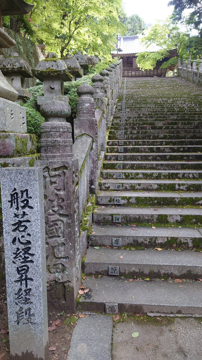 ShoutingJiang's tweet photo. ほぼ毎年四国に来るんですが、また素敵な場所を見つけた。
今まで見てきた神仏楼閣の中に仏教建築の美しさの最高峰と言っても過言ではない。ぜひその場で見上げてください。
また本殿裏からの登山道はまるで熊野古道のような雰囲気で素敵すぎる。
秋の紅葉季節もまた来たいなぁ
#箸蔵寺 #箸蔵山 https://t.co/YWlmUGrfrV