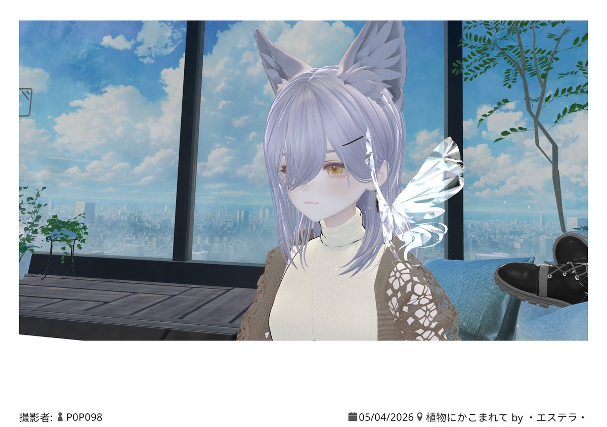 El丨エル tweet media