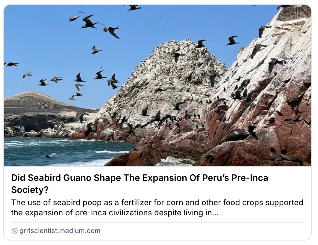 GrrlScientist's tweet image. Did Seabird Guano Shape The Expansion Of Peru’s Pre-Inca Society?

#SciComm by @GrrlScientist 

#Seabirds #Society #fertilizer #Peru🇵🇪 grrlscientist.medium.com/did-seabird-gu…