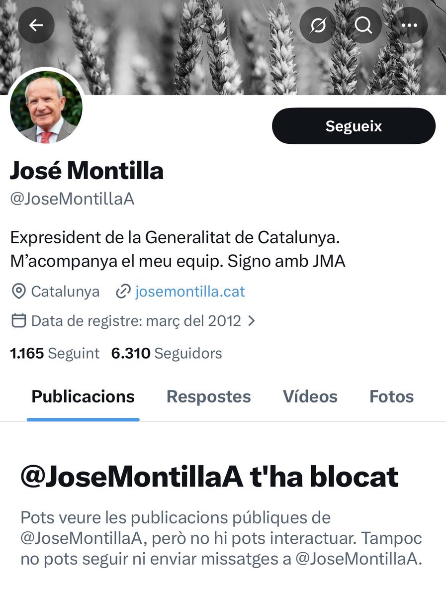 Aleix Clarió 🎏🐉 tweet media