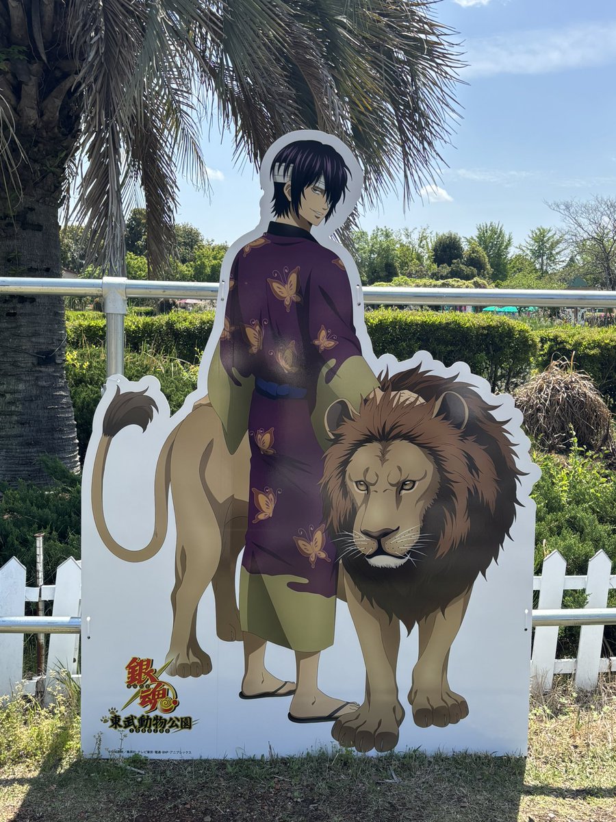 しろくま tweet media