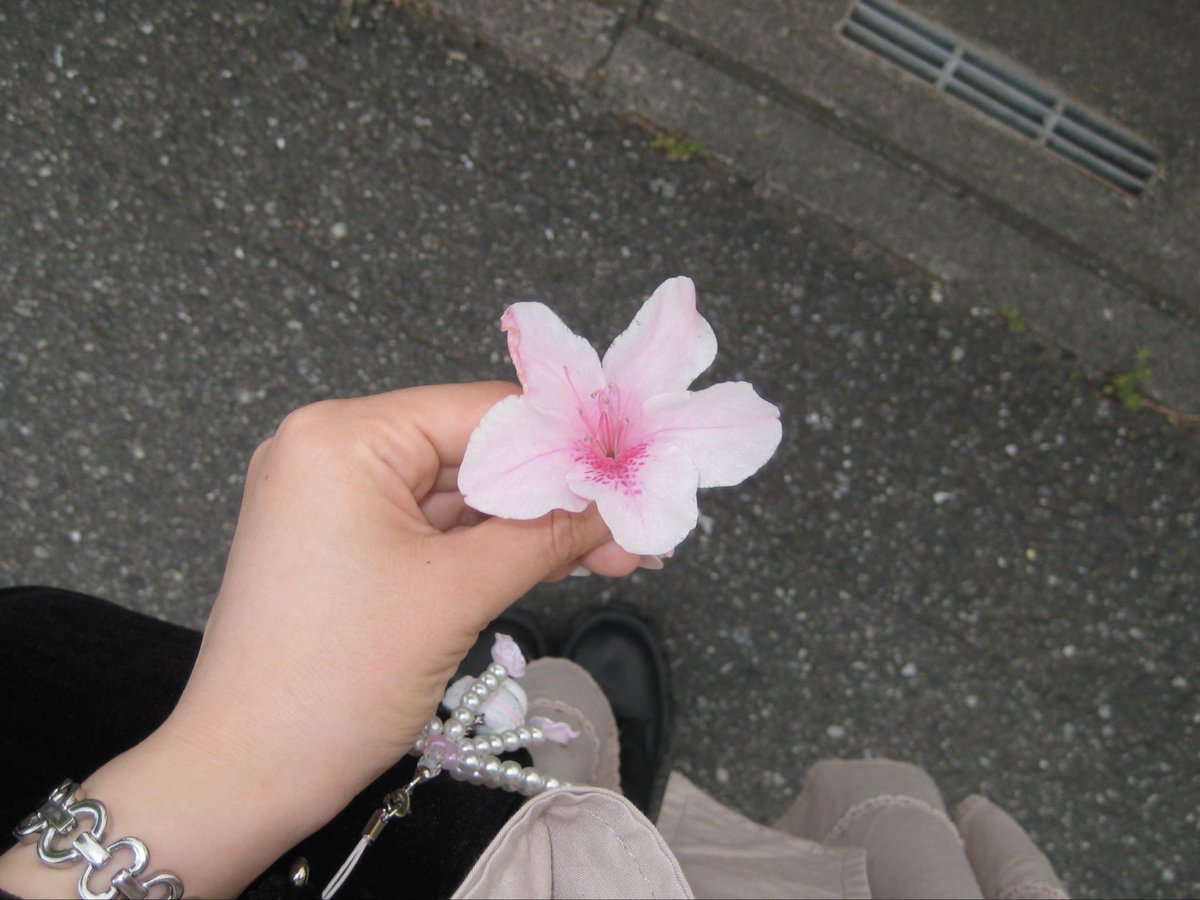 彩羽 tweet media