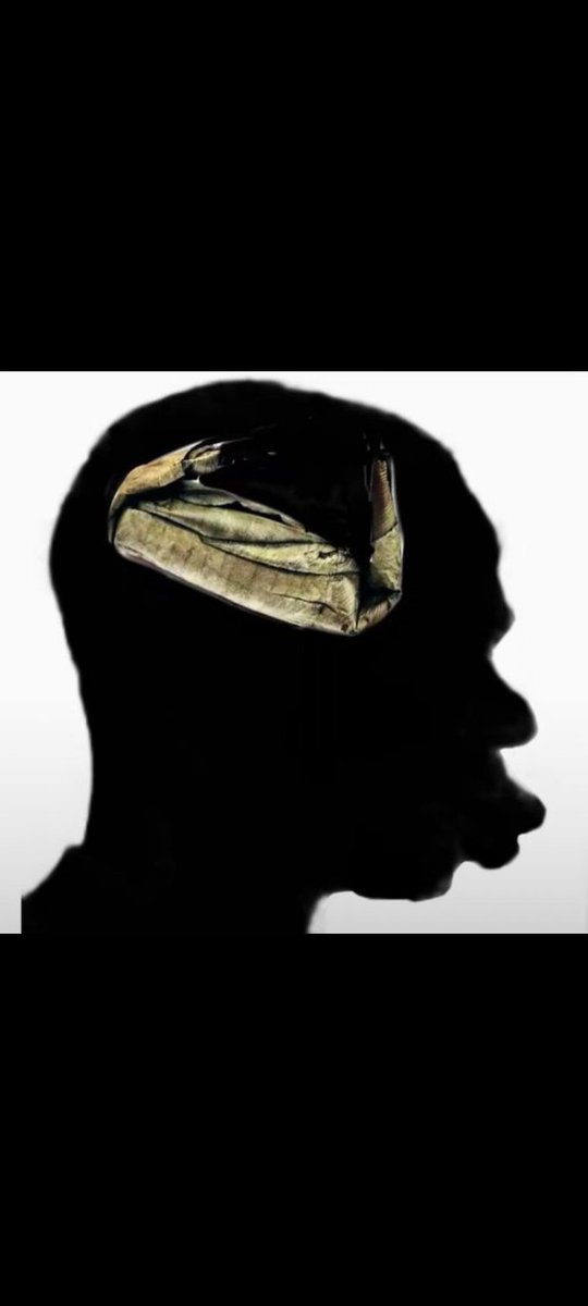 Lizevd Lads (Ethlizavds) 🇨🇮🦎 tweet media