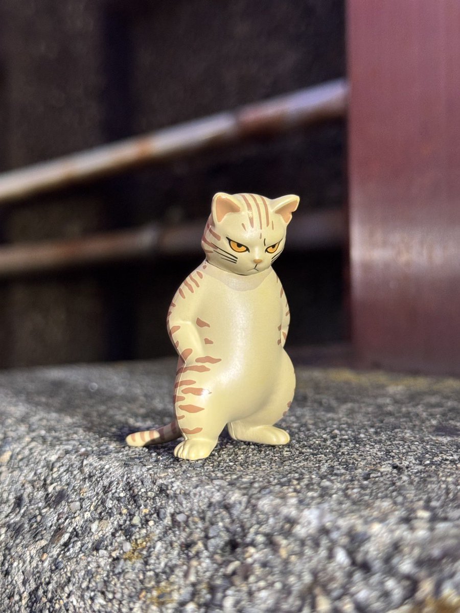 🌈猫丸 ゆら🐈‍⬛🤍純ラテ tweet media