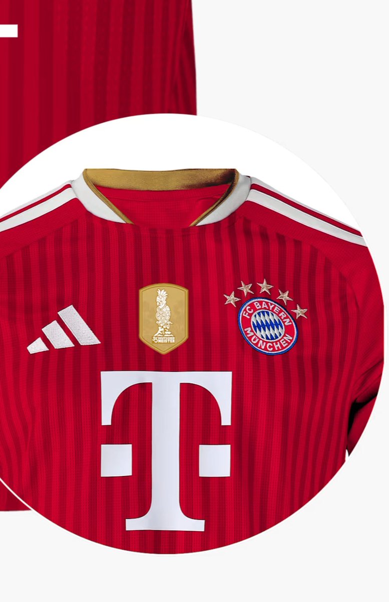 FC Bayern Brasileiro tweet media