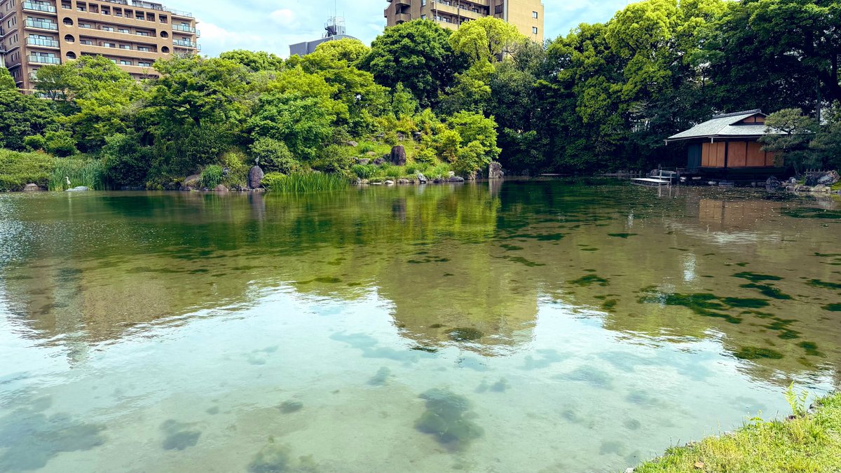 granphic2014's tweet photo. 知恩院と渉成園！ひさびさの京都だなー☺️ https://t.co/EDQkPJRkso