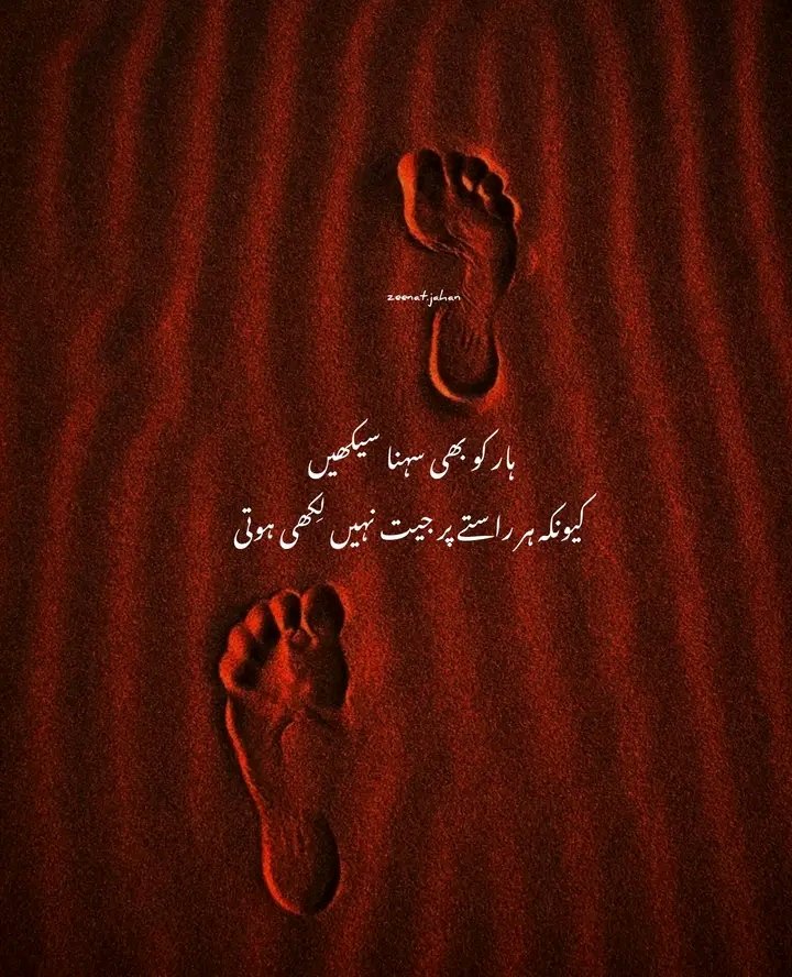 Anila sheikh tweet media