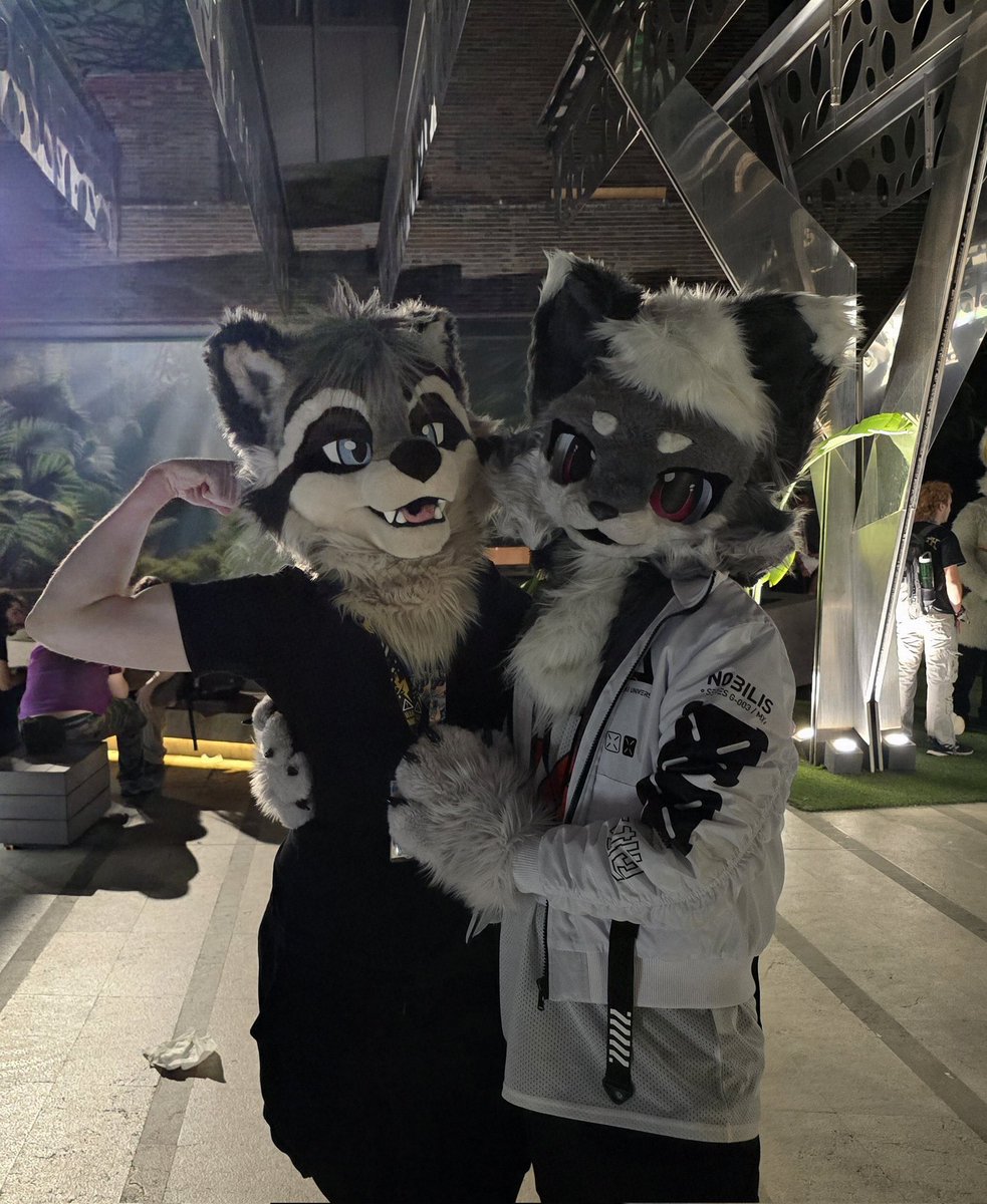 driuuz's tweet photo. Now that I got the reality check of not being a silly wolp 24/7 here is a picture dump of Ibercon :3

I met a lot of new floofs 🐺 https://t.co/jVVieRc7PI