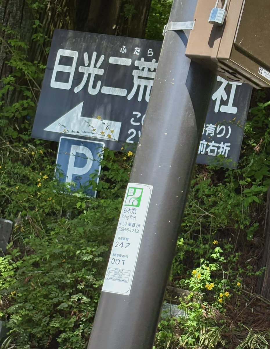 てぃReN tweet media