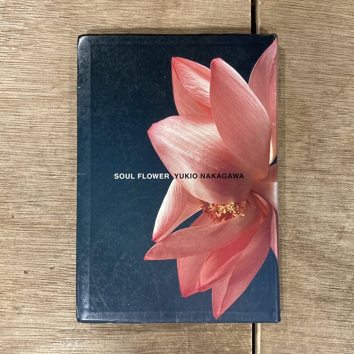 中川幸夫 魂の花展 青竹ひらく霧島 Soul Flower Yukio Nakagawa 2003年