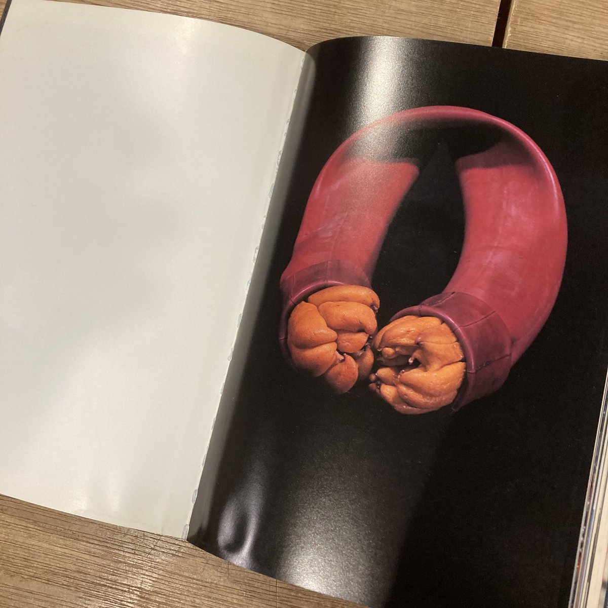 中川幸夫 魂の花展 青竹ひらく霧島 Soul Flower Yukio Nakagawa 2003年 