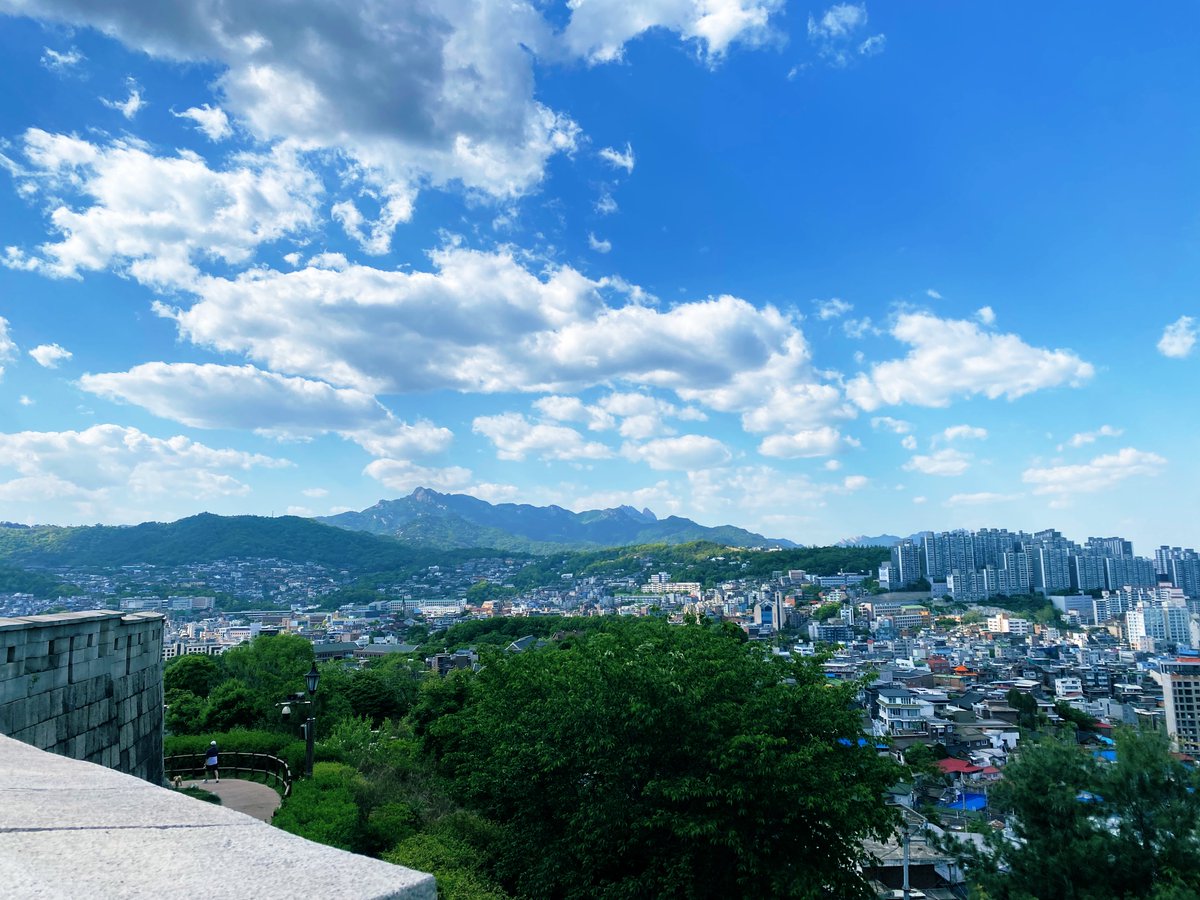 초롱종드 tweet media