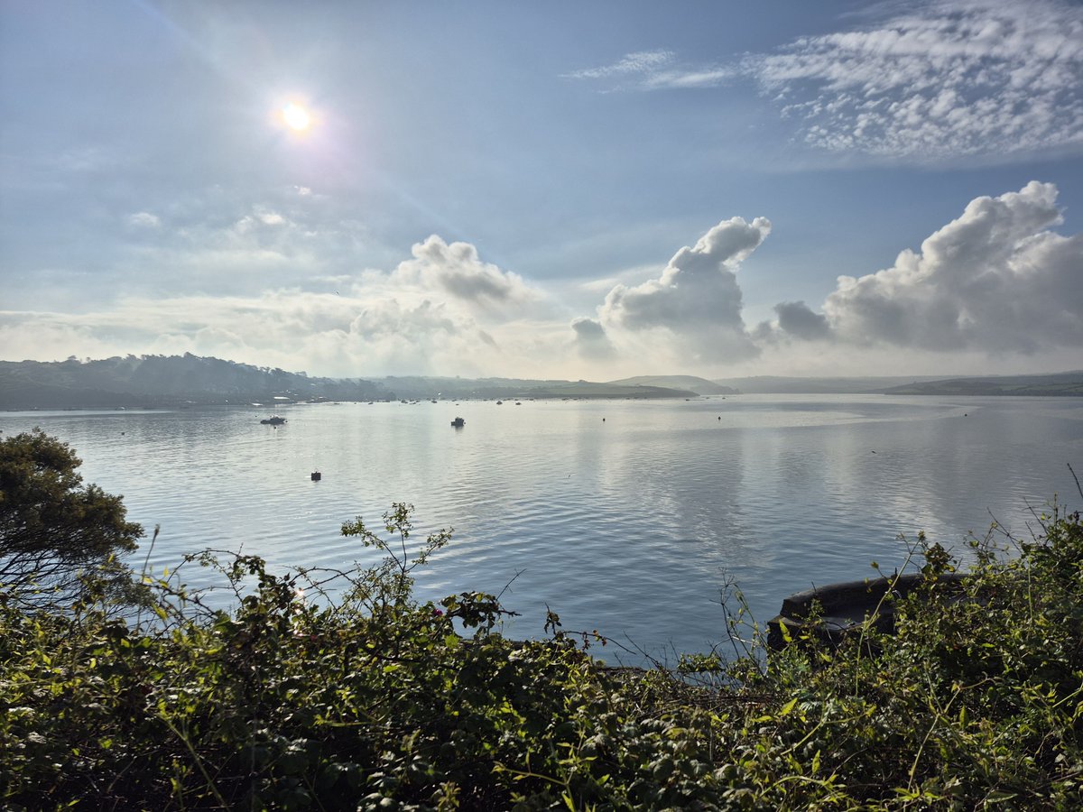 QuayArtPadstow's tweet photo. Good Morning #TheCamelEstuary #Padstow #Rock #AllIsCalm
@Westcountry @WendyMounce @Cornwall_Coast
@Devon_Cornwall @iloveukcoast @Intocornwall https://t.co/lmLAHqnnOT