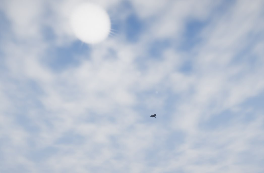 fanjoyStudio's tweet image. #SingleNote #GameDev #Game #IndieGame #adventure #Steam #Bird