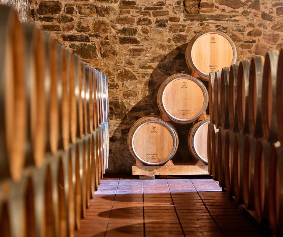 Bodegas Pittacum tweet media
