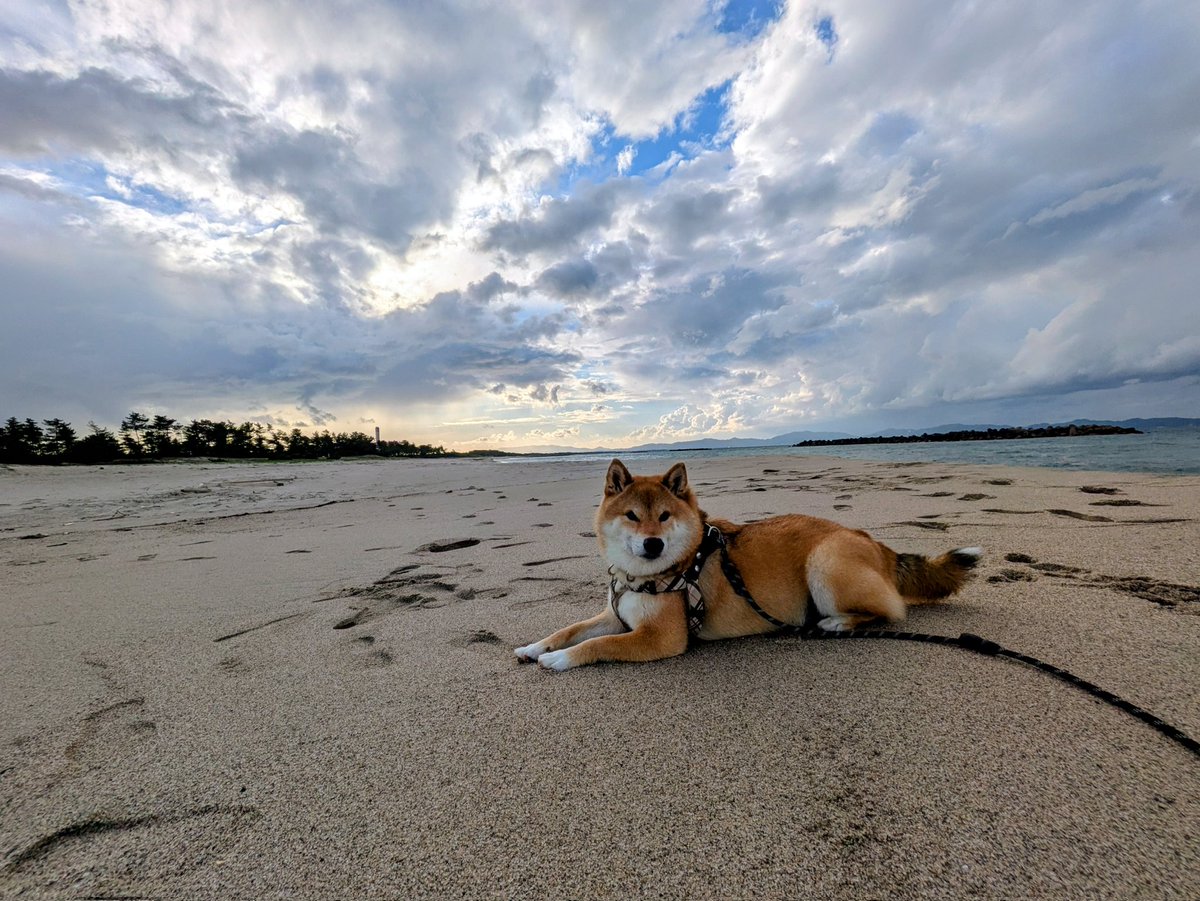 hiro tweet media