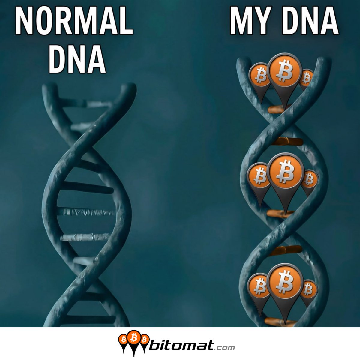 Bitomat.com ITALIA tweet media