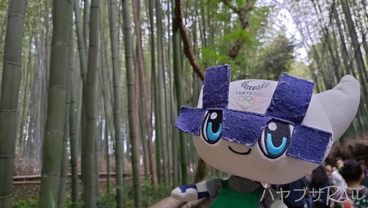 Mirasomespitz's tweet photo. 超久々の嵐山巡り。
今回は、野宮神社近くの竹林を中心に回りました。

ソ「渡月橋は昨日の雨で、
　　川の水が濁っちゃったね。」

#ミライトワ #ソメイティ
#ホノホン #ウズミン
#嵐山（京都市右京区）
#渡月橋の写真直後から大雨でした
#アジア大会 #愛知名古屋2026
#一生ミラソメします https://t.co/RyLcNGVi1J