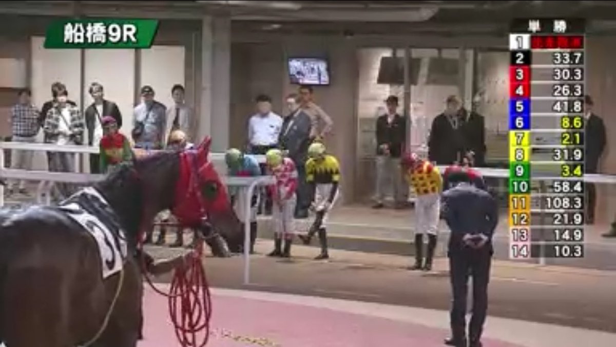 天空競馬予想Ｚ tweet media