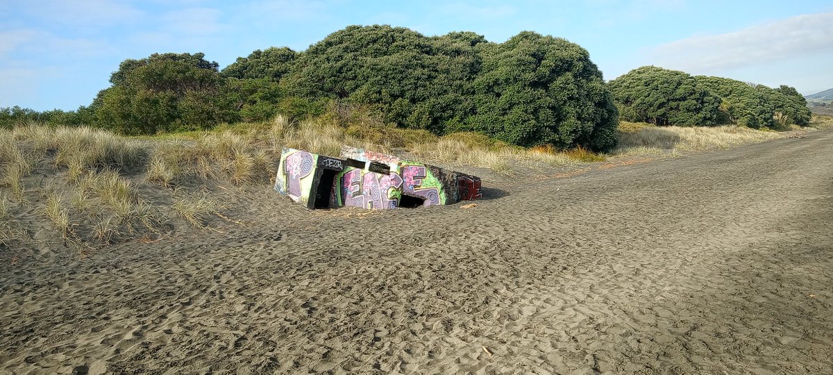 thenewfandango's tweet photo. Saw this on a morning walk at the beach - I just took the photo ... Not sure who the artist was ... But I found it interesting - look closely at the pic ... Is Peace obscure in this world? A peaceful walk though, I saw a bird - some sort of seagull - anyone seen Jonathan Livingston Seagull? Wonderful movie. I almost expected him to emerge from the Peace graffiti or at least some of his friends.