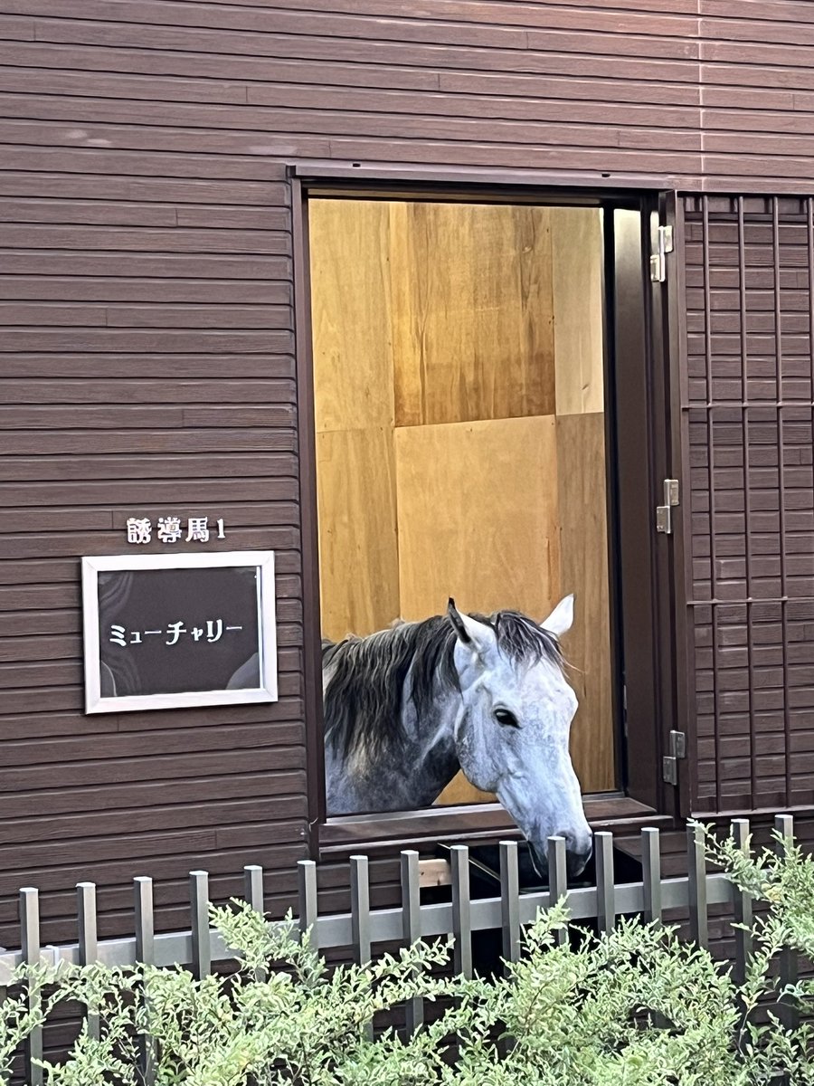 空馬くん tweet media