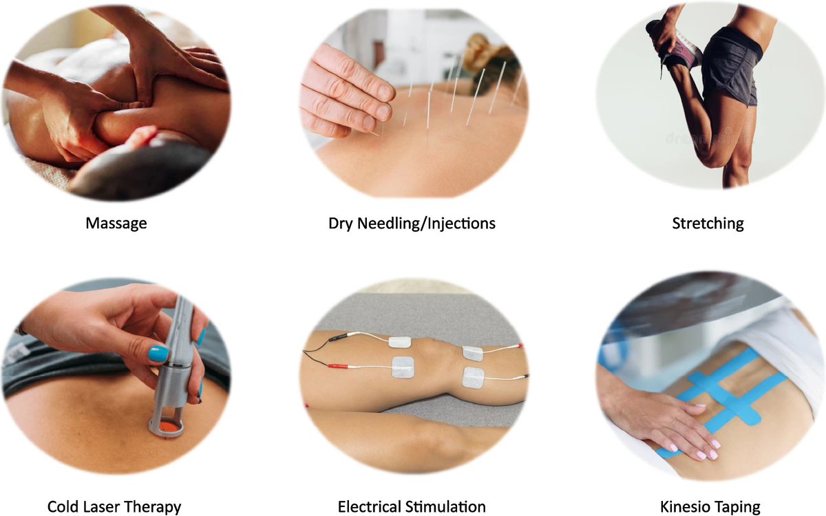 Physio Meets Science tweet media