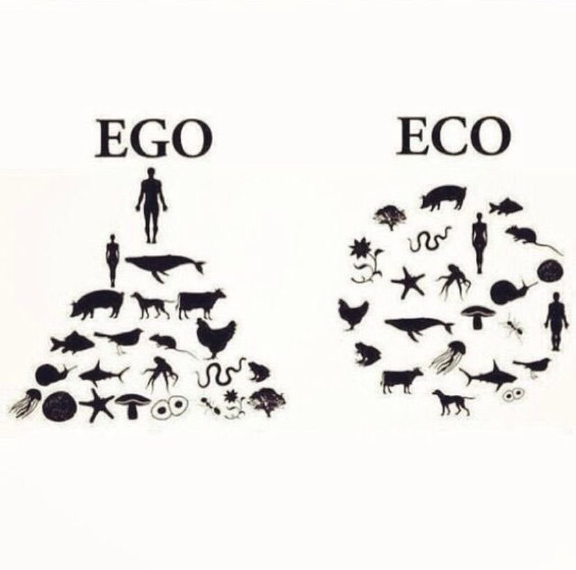 MSavesoil's tweet image. #SoilHealth is Human #health.

Our Health begins in #Soil !!! 
#SaveSoil
