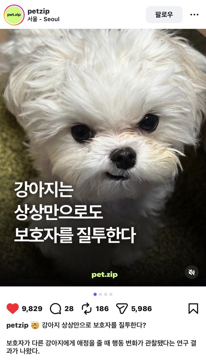 凸명화제약凸 tweet media