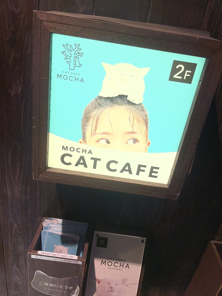はるお店長。☘️ tweet media