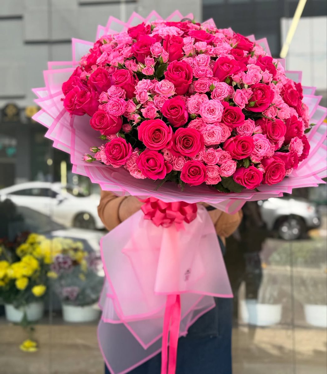 Soft Petals tweet media