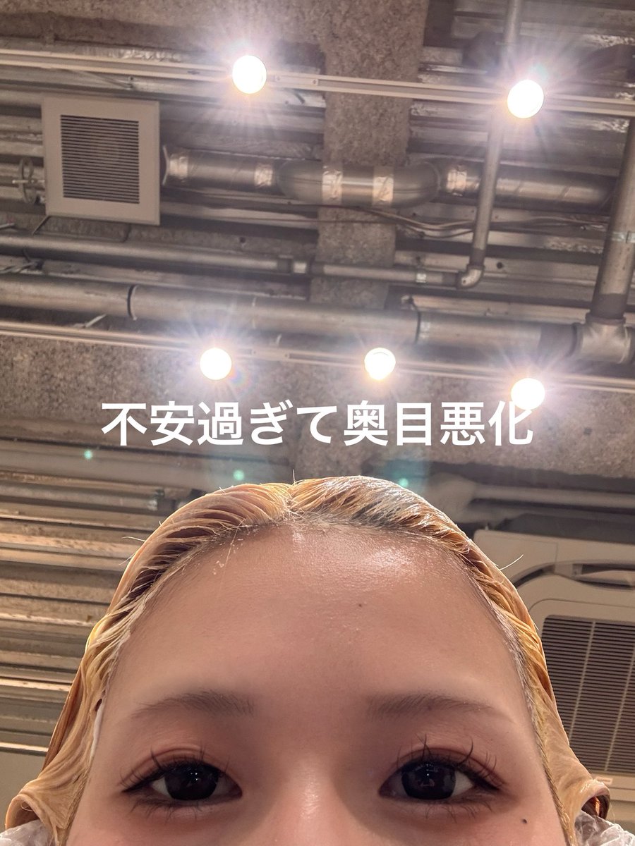 徒然 tweet media
