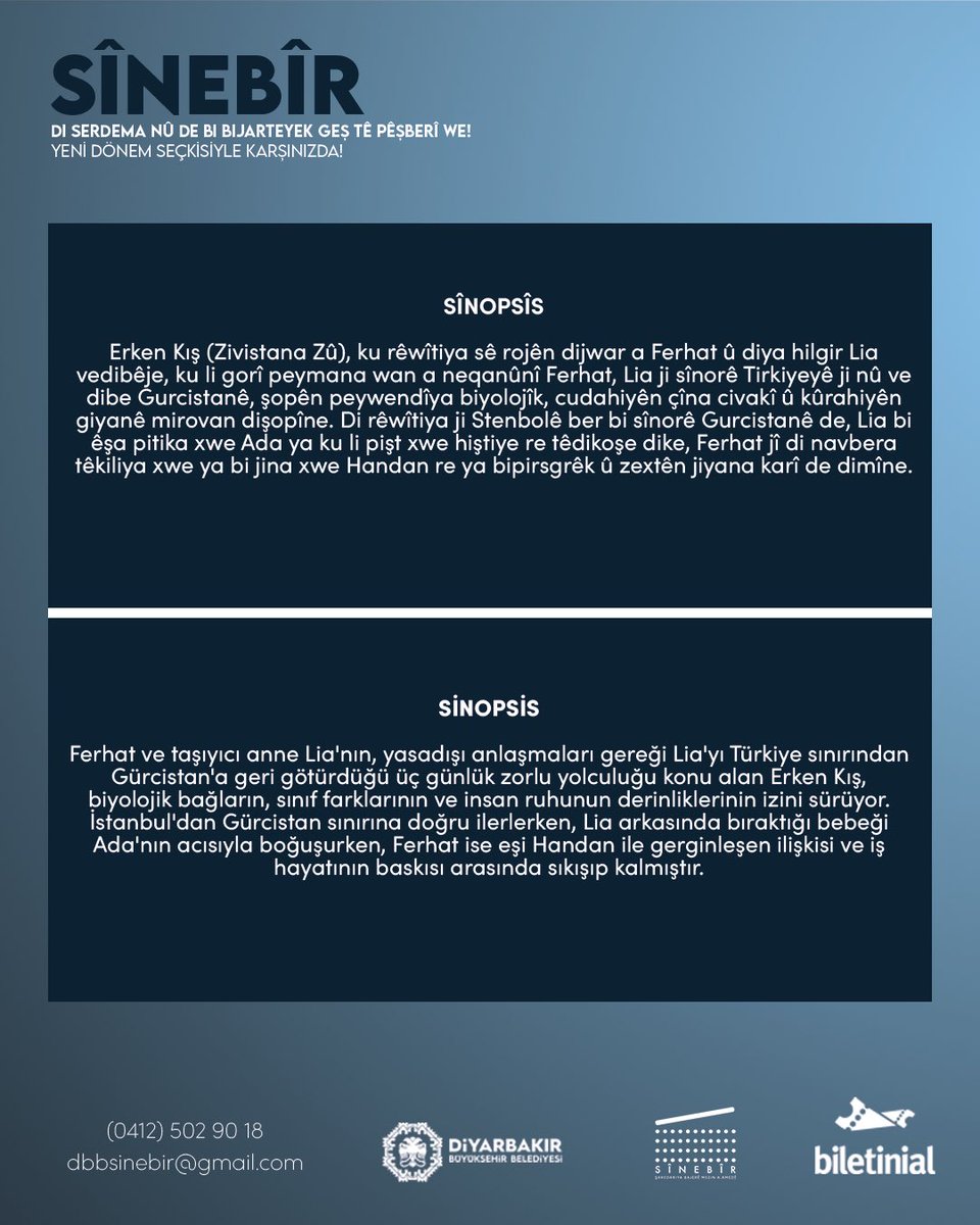 DBB SineBir tweet media