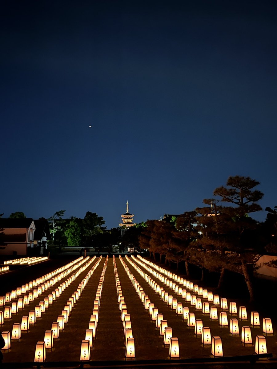 明日は玄奘三蔵会大祭と万燈会です。万燈会は18:30ごろから20:00まで自由にお参りいただけます。