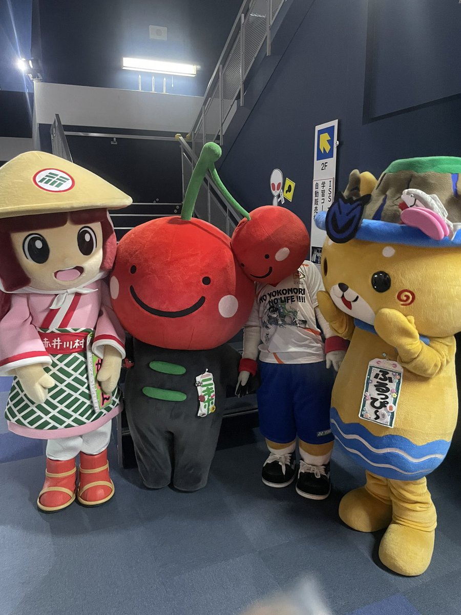 コギ坊 tweet media