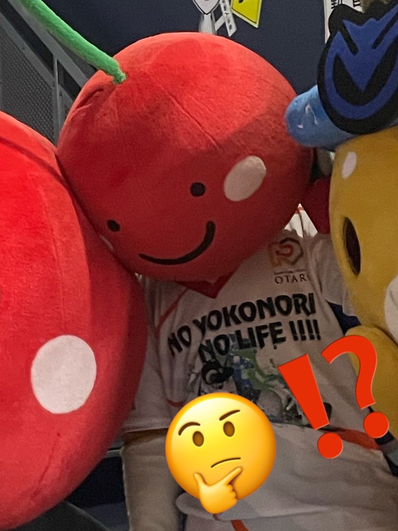 コギ坊 tweet media