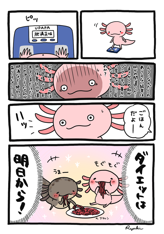 upa_no_nichijo's tweet photo. 結局、ダイエットは明日からになるタイプです
＃ウパたちの日常
＃漫画が読めるハッシュタグ
＃ウーパールーパー　＃axolotl https://t.co/bQgH4TUGeg