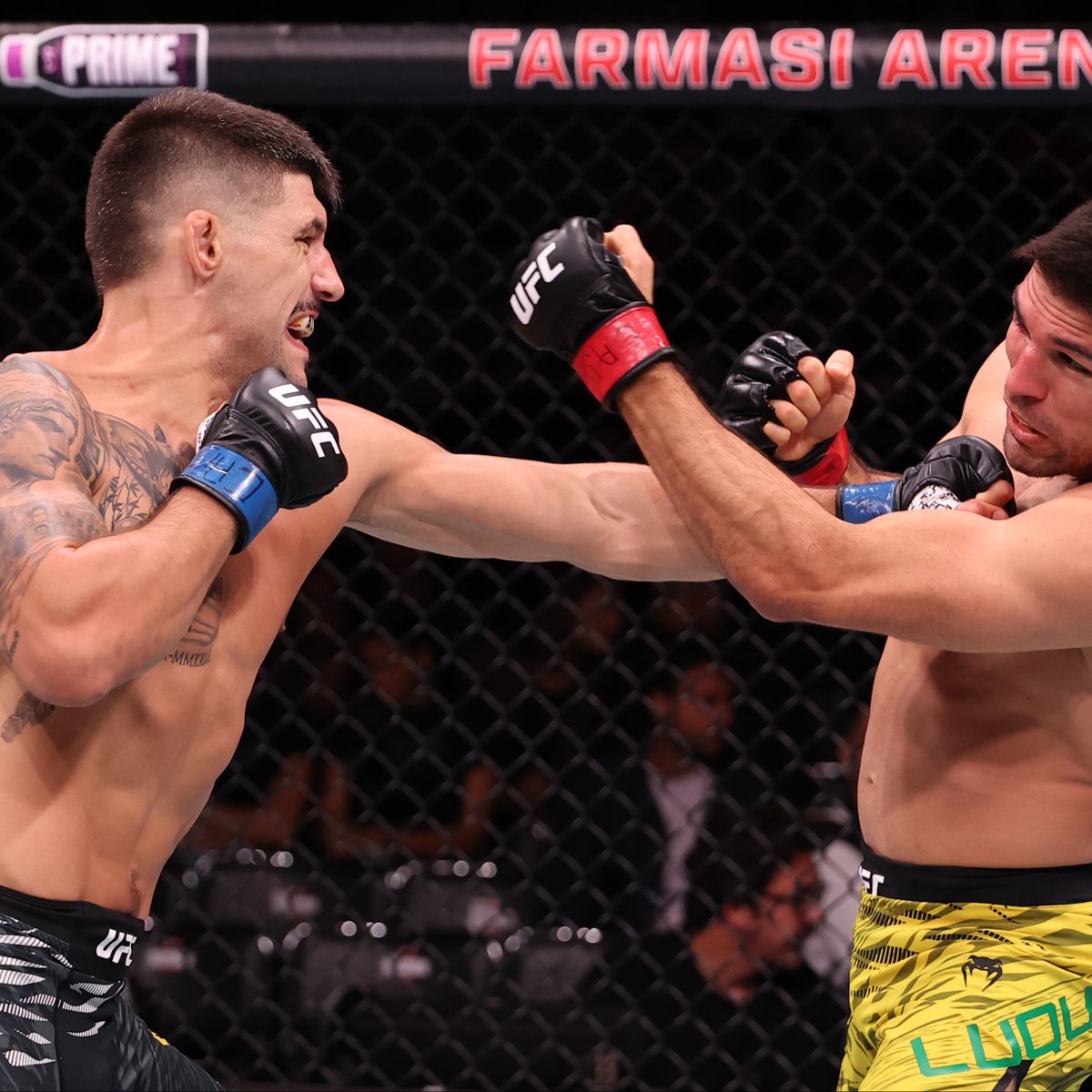 UFC Español tweet media