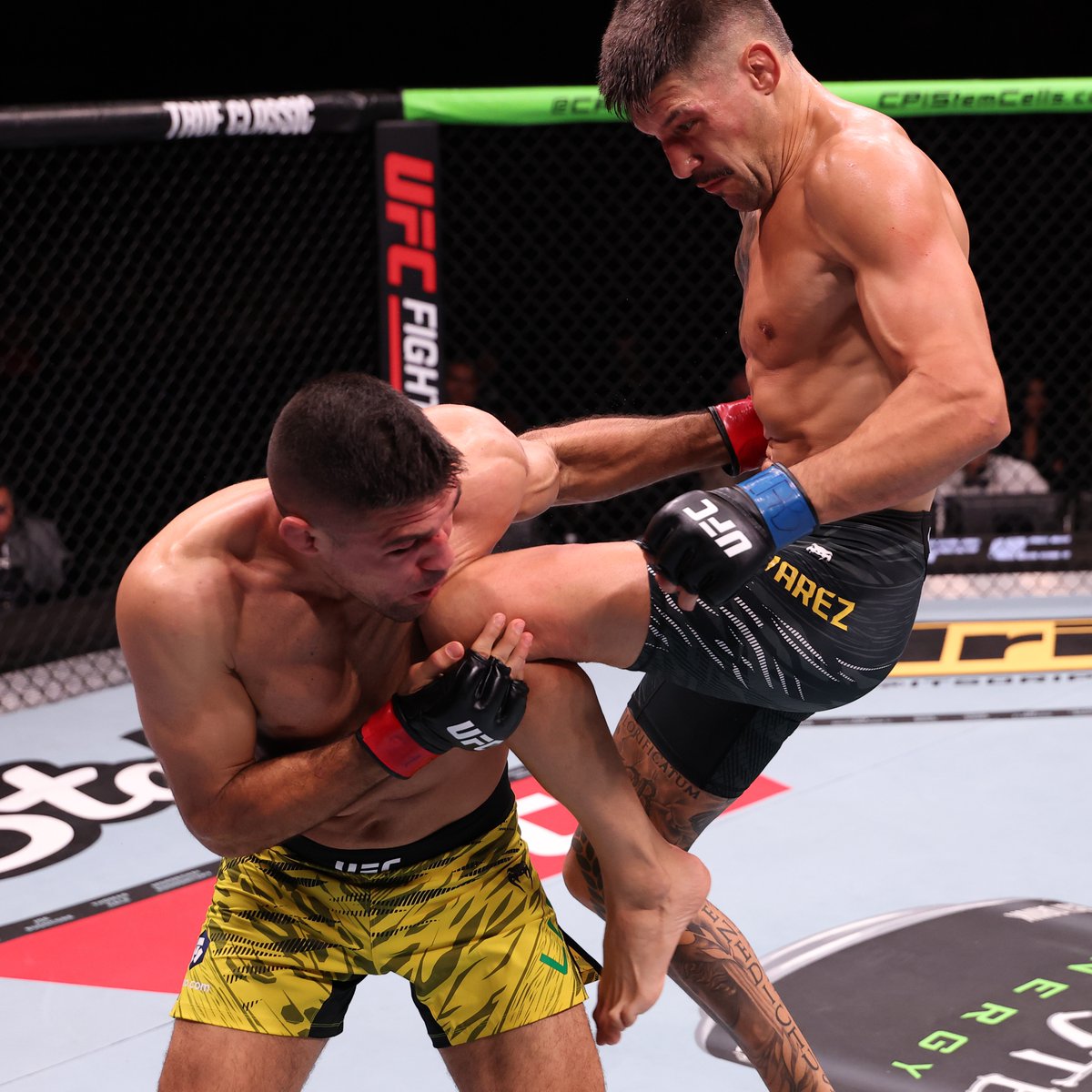 UFC Español tweet media