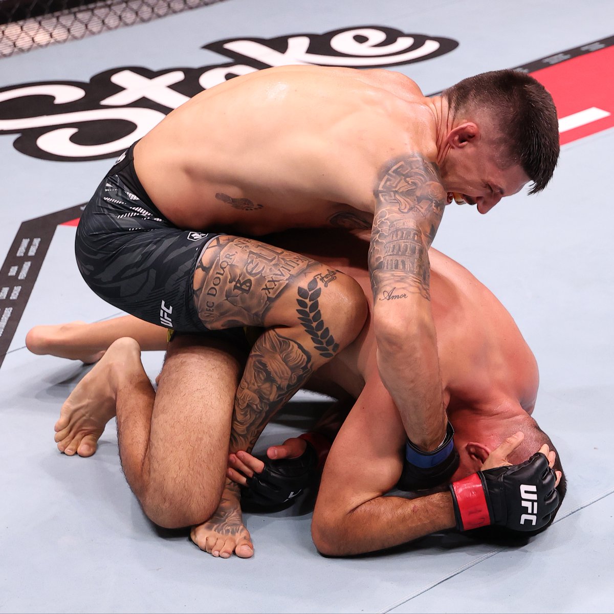 UFC Español tweet media