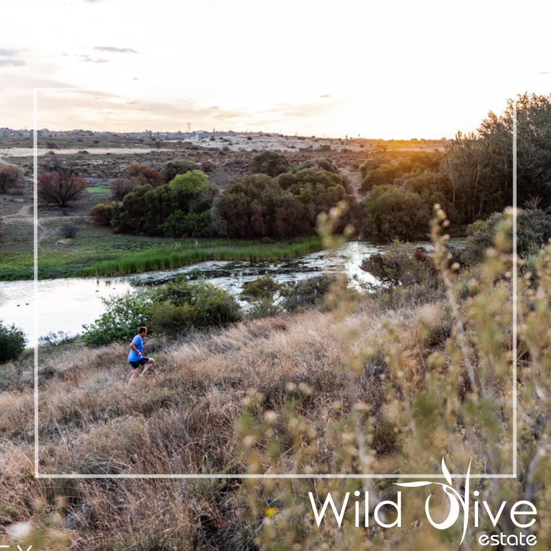 WildOliveEstate's tweet photo. 🍂 Welcome, May!

As autumn settles in, it’s the perfect time to find your dream home at #WildOliveEstate. Our homes are designed for comfort, style, and convenience, making every season feel like a new beginning. 🍃

📞 0824931367 | 0823773634 | 0716703721

#BloemfonteinHomes https://t.co/TQmCaLNzz1