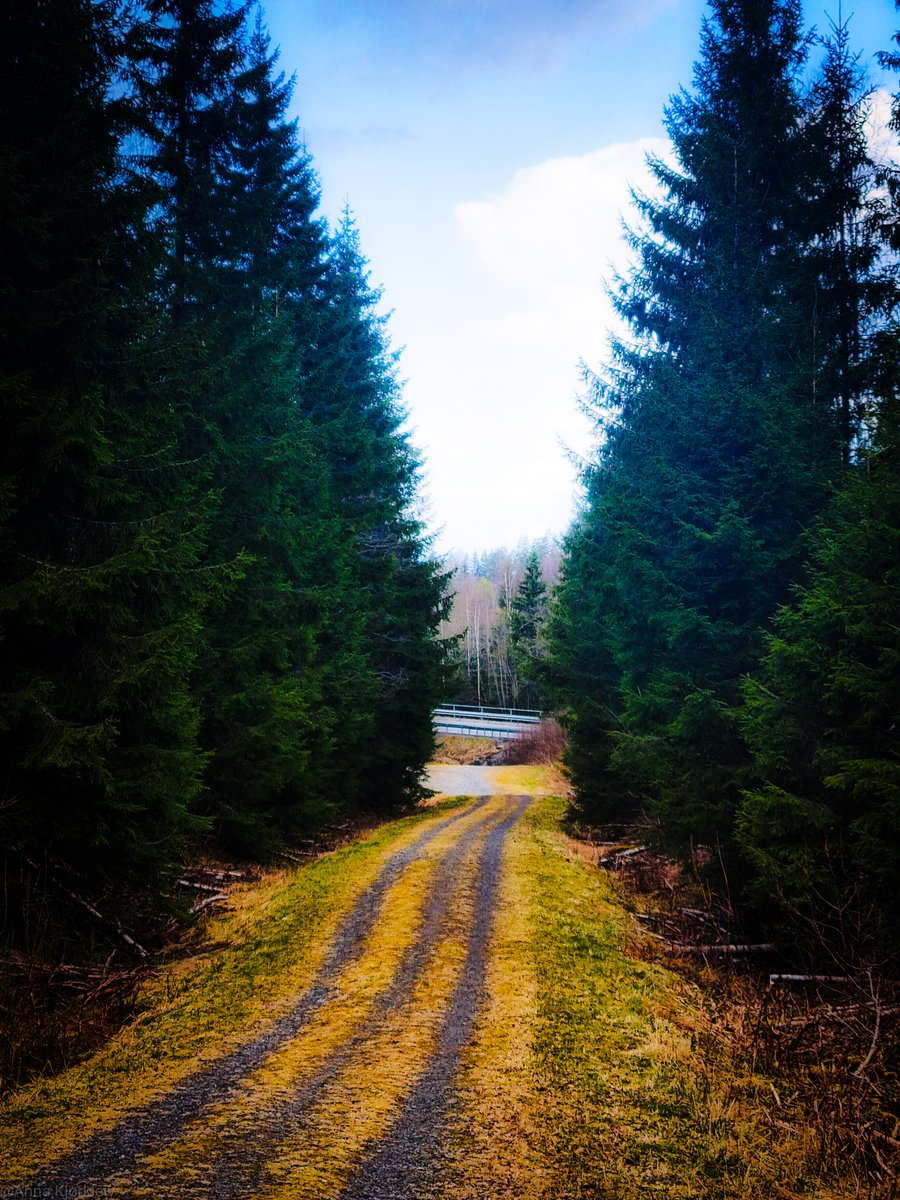 KjorkAnna's tweet image. Spring day, 2026
Oslo

#photography #landscape #Norway
