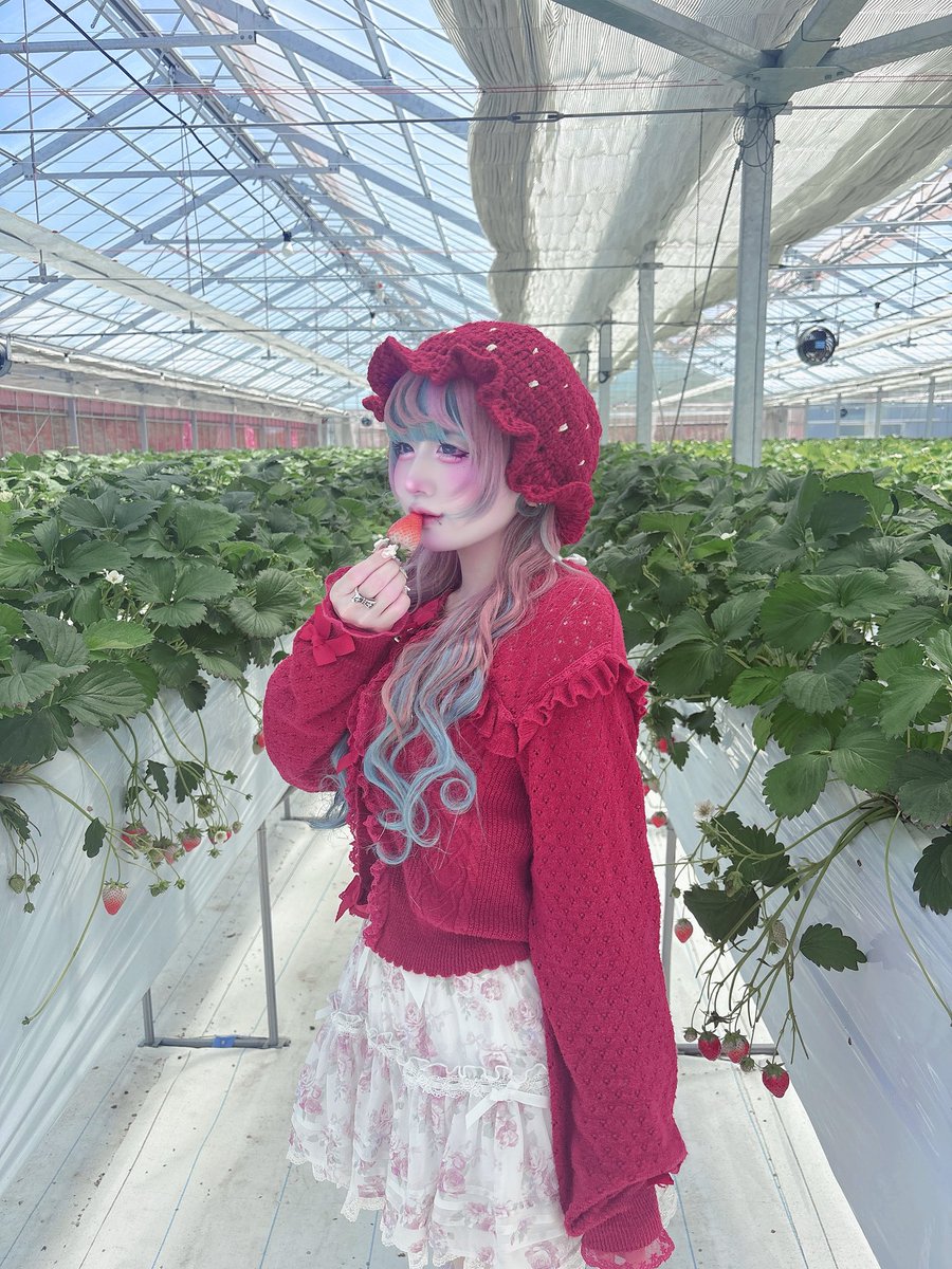✨とまとページ✨ ミニトマト食べたい (@chuu_die) / Posts / X