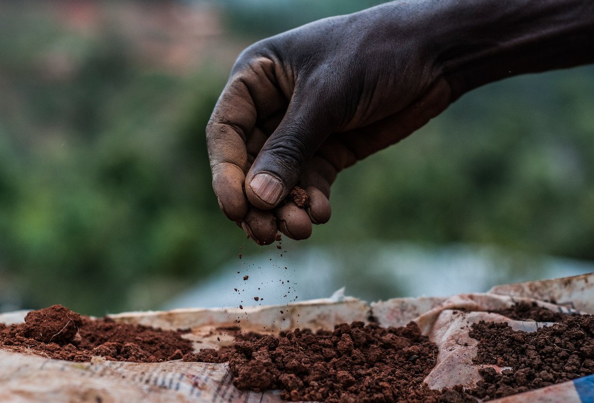 CGIAR tweet media