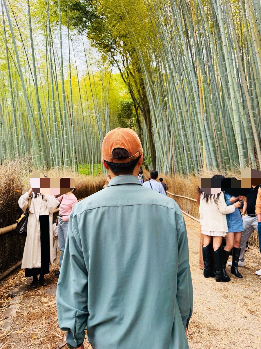 v0b17's tweet photo. 嵐山🎋 https://t.co/9FIlWIVGte