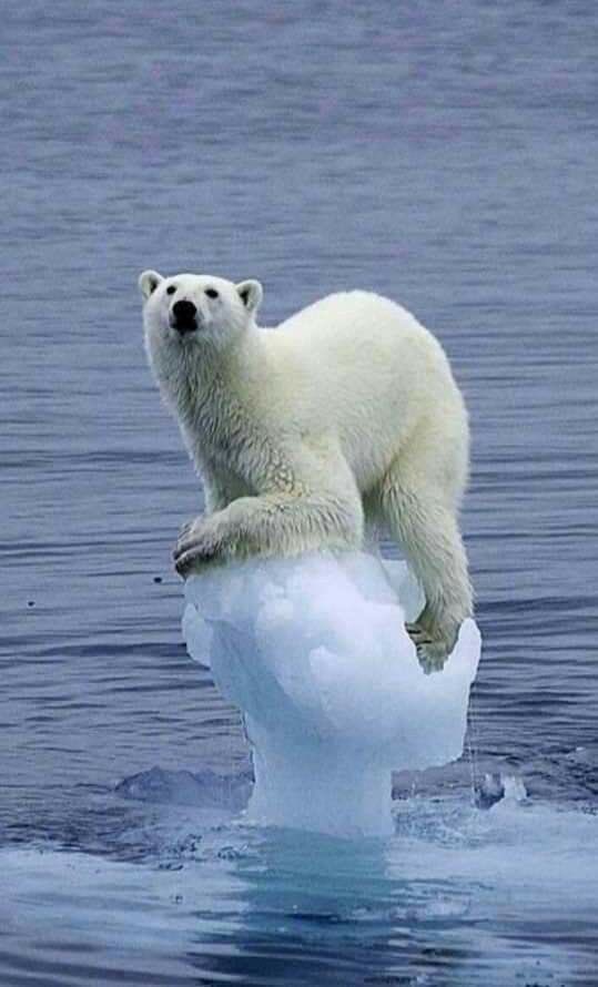 마곰🌱 tweet media