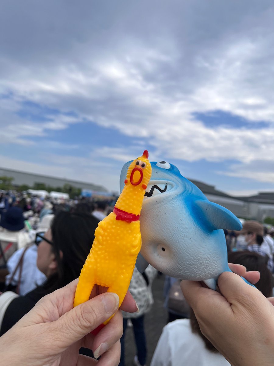 ピグマのコンマ8 tweet media