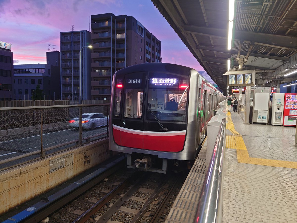 旅人よっちゃん🥦 tweet media