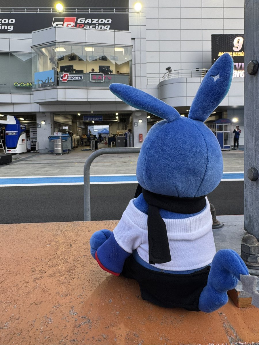 くうたん tweet media