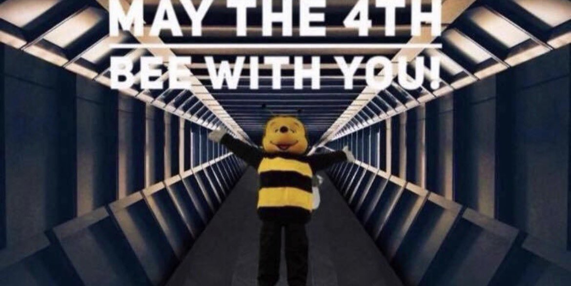 Scottish Beekeepers tweet media